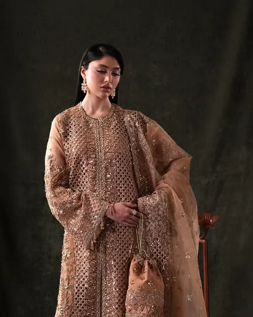 Starlet Jewels by Emaan Adeel Embroidered Organza Suits