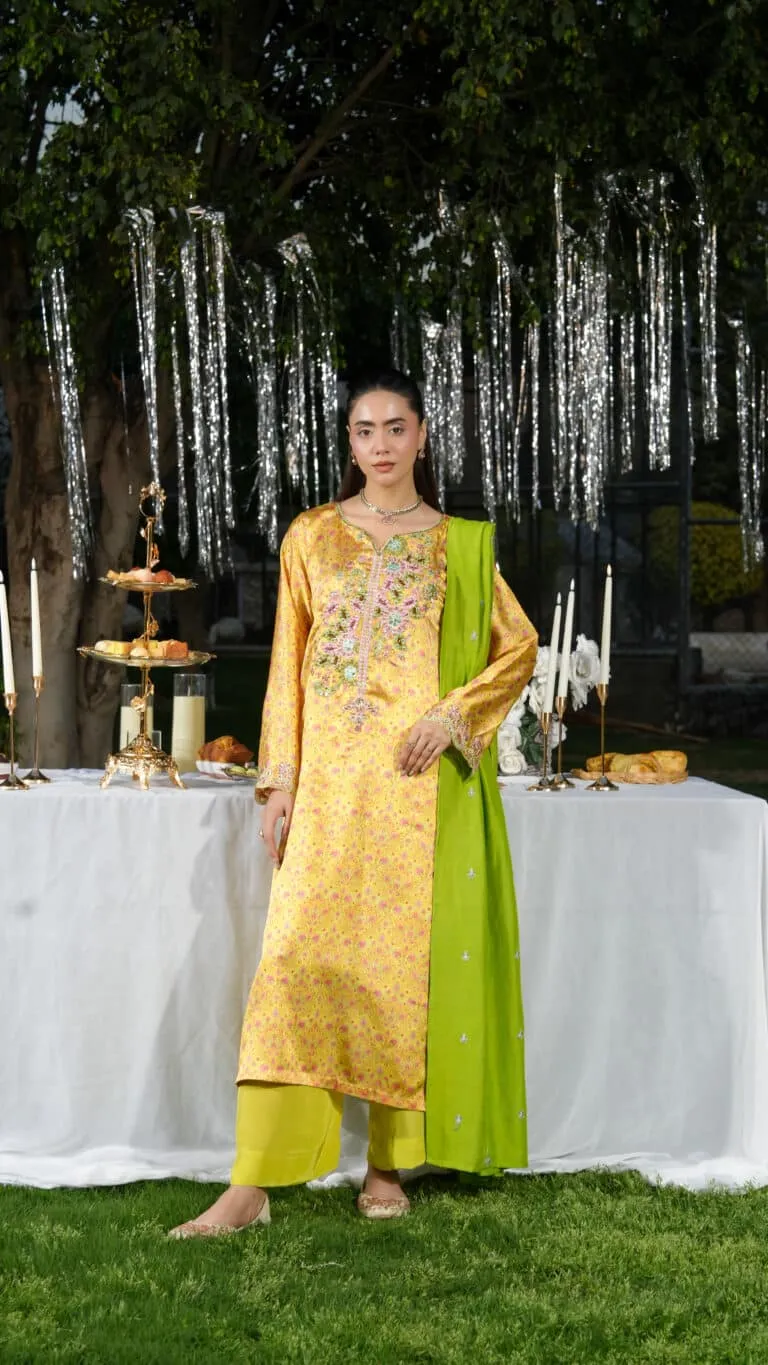 Ghazal Luxe Embellished Festive 2026 by House of Mist | HMGZ-E26-09 image 5