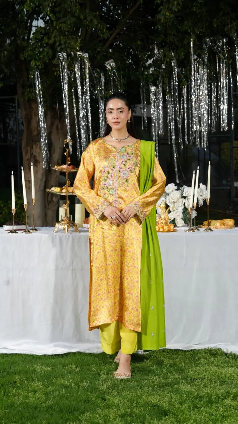 Ghazal Luxe Embellished Festive 2026 by House of Mist | HMGZ-E26-09 image 4