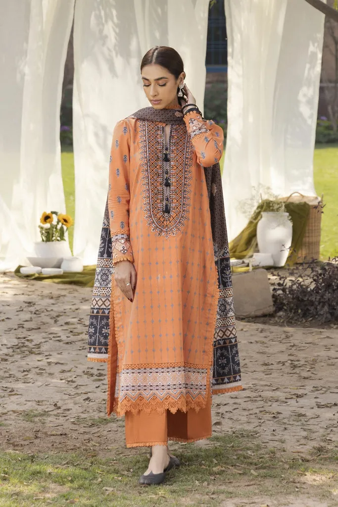 Printed Collection by Aabyaan | AMIRA