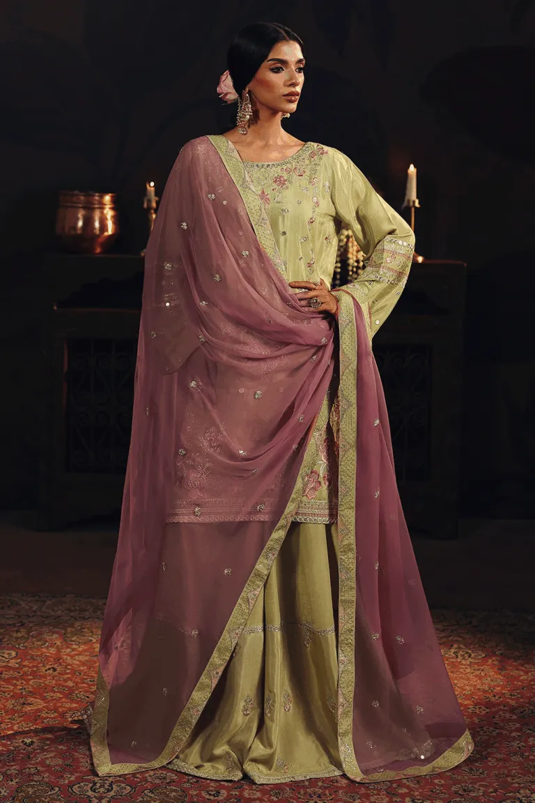 Ramsha Suroor Party Dress SR-105 Chambeli image 3