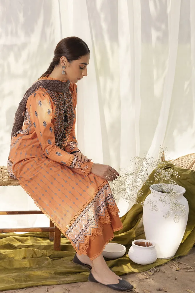 Printed Collection by Aabyaan | AMIRA image 5
