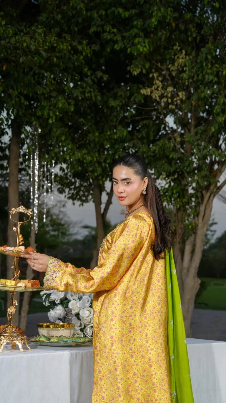 Ghazal Luxe Embellished Festive 2026 by House of Mist | HMGZ-E26-09 image 2